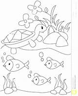 Pond Coloring Pages Habitat Animals Royalty Arctic Animal Printable Color Getcolorings Getdrawings Plants sketch template