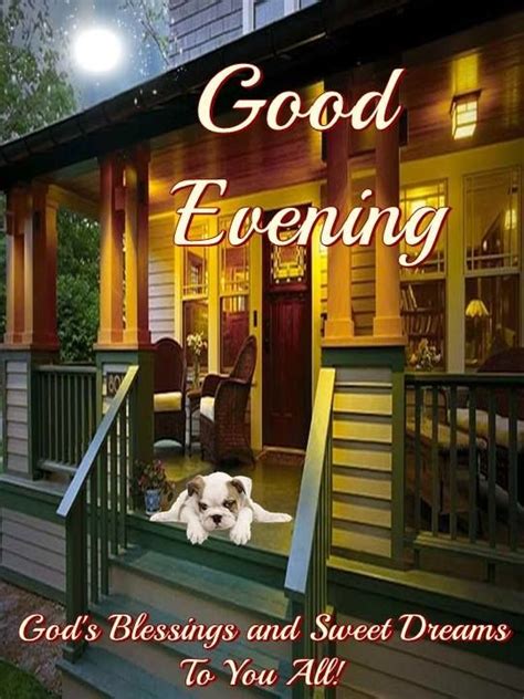 dog laying  porch good evening pictures   images  facebook tumblr pinterest