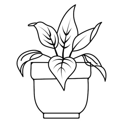 premium vector potted plants coloring page  kids vector