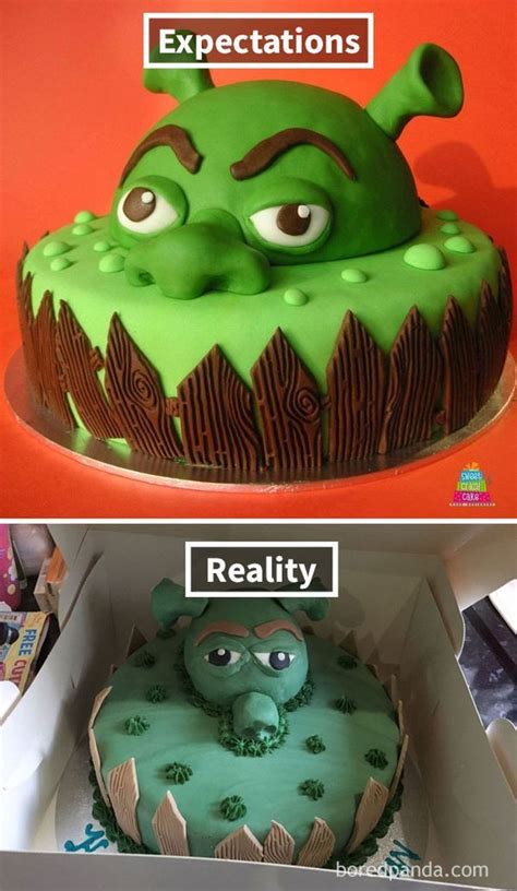 Expectations Vs Reality 100 Failed Attempt To Make A Cake Funnyfoto