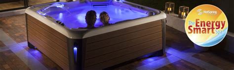 energy efficiency  hot spring spas teddy bear pools  spas