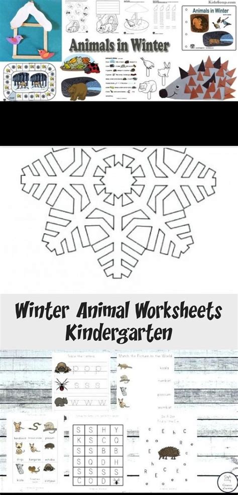 winter animal worksheets kindergarten toysworksheetforpreschoolers