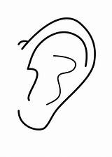 Ear Coloring Pages Ears Clean Color Very Kids Colouring Muffs Left Library Clipart Template Popular Kidsplaycolor Play sketch template