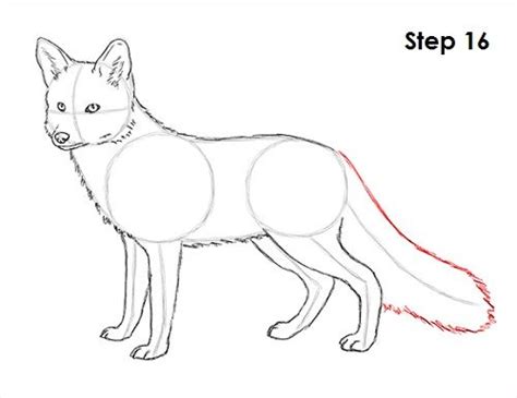 famous   draw  red fox easy step  step references inya head