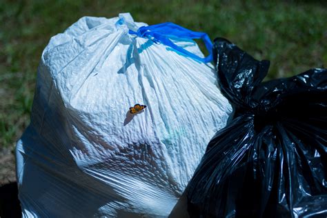 county pushes   trash  control  bibb voice