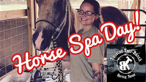 horse spa day youtube