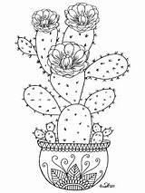 Cactus Coloring Suculentas Mexicano Bordar Cactos Artesanias Botanicals Giclee Kcdoodleart Riscos Mexicanas Patrones Bordado Cacto Coquelicot Pintando Tela Kleurplaten Kaktus sketch template
