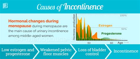 incontinence symptom information menopause now
