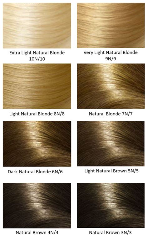 base hair colors argan oil hair color hair color chart blonde hair color chart
