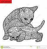 Coloring Kitten Cat Adults Book Zentangle Mother Her Vector Illustration sketch template