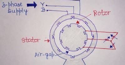 working principle   phase induction motor