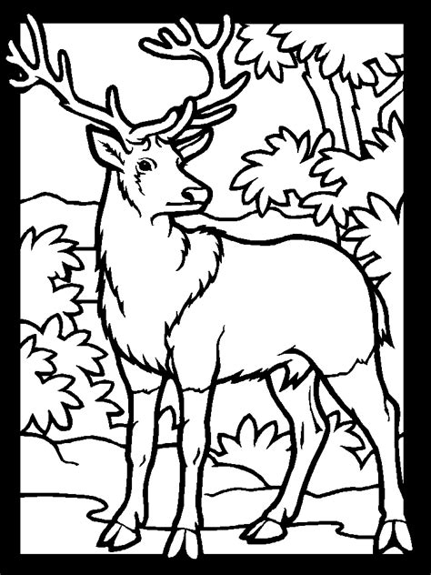 printable deer coloring pages coloring home