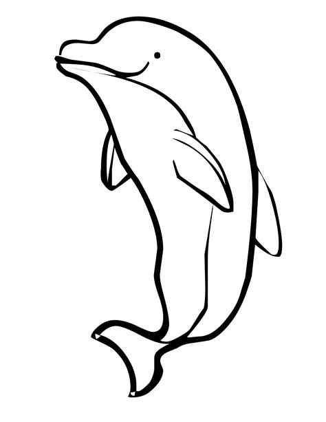printable coloring pages dolphins printable templates