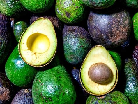 18 Popular Types Of Avocados – Complete Guide 2023 Northern Nester