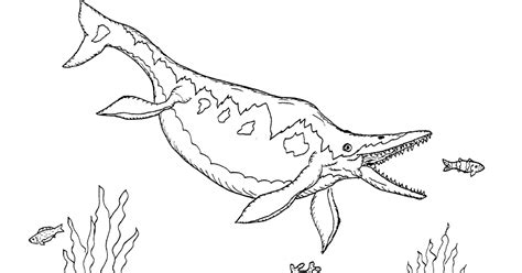 robins great coloring pages marine reptiles