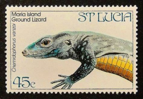 maria island ground lizard cnemidophorus vanzoi a st lucia 45¢ stamp postage stamp art