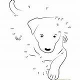 Dot Dog Connect Dots Kelpie Australian Worksheet Kids Printable Worksheets sketch template