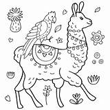 Llamas Parrot Colouring sketch template