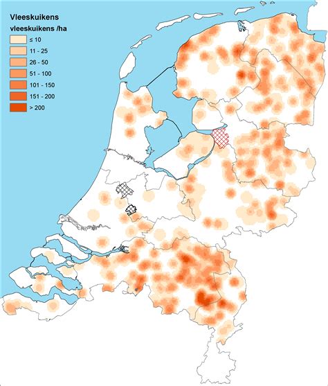 file overzicht nederland kaart vogels