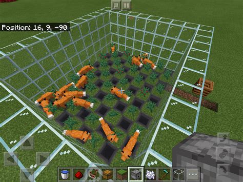 automated sweet berry farm   foxes mechanic  harvest berries rminecraft