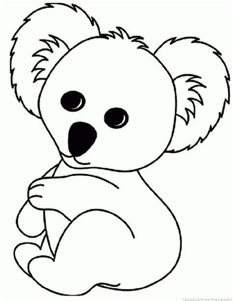 koala  animals  printable coloring pages