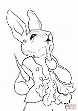 Coloring Peter Rabbit Pages Eating Radishes Printable Drawing sketch template