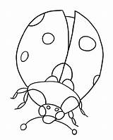 Ladybug Coloring Pages Printable Kids Book sketch template