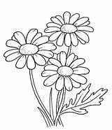 Disegni Margherita Daisy Flores Drawings sketch template
