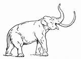 Coloring Mammoth Mastodon Pages Dinosaur Printable Wild Color Categories sketch template