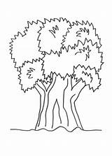 Tree Coloring Big Nature sketch template