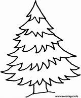 Sapin Noel Trees Simpel Tekenen Gratuit Colorier Kerstboom Arbre Albero Arbol Navidad Boyama sketch template