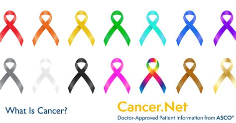 cancer cancernet