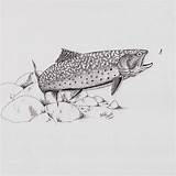 Trout Brook Fishing Drawings Drawing Fly Sketch Sketches Fish Coloring Pencil Tattoo Wood Burning Tattoos Laser Sketchite Template Draw Patterns sketch template