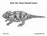 Horned Lizard Toad Sponsors Support sketch template
