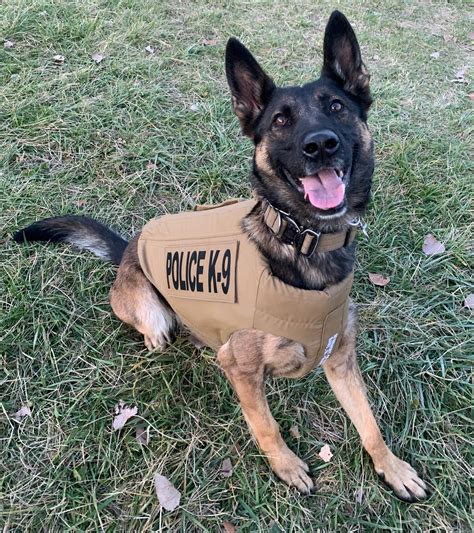 Indiana State Police K9 Koda Receives Donation Of Body Armor