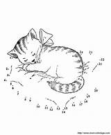 Katze Schlaft Tief Ausmalbild Ausmalbilder Webbrowser Genügt Benutzen Ordnung Alles sketch template