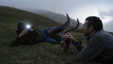 dagestan tur eastern tur hunting in russia pyrenean outfitters