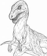 Raptor Emily sketch template
