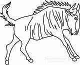 Gnu Clipart Animals Wildebeest Search Results sketch template