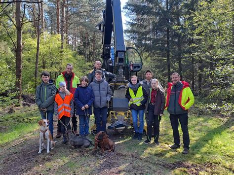 zukunftstag im wald niedersaechsische landesforsten