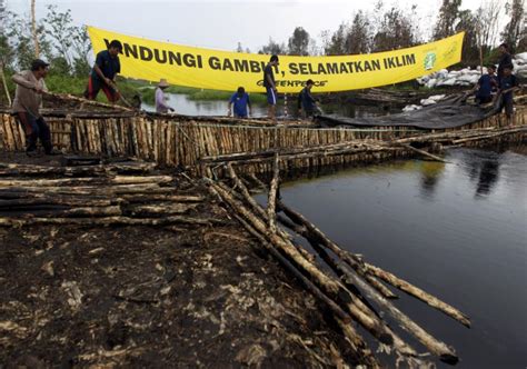 Greenpeace Accuses Indonesian Paper Mill Of Destroying