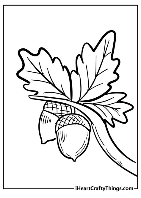acorn tree coloring page