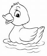 Coloring Cute Duck Kids Pages River Sheet Baby Animal sketch template