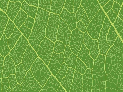 leaf pattern vector art graphics freevectorcom