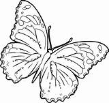 Butterfly Coloring Pages Wecoloringpage Disney sketch template