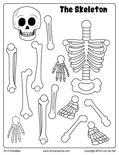 skeleton cut  paste tims printables skeleton  kids skeleton
