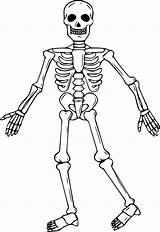Squelette Humain Coloriages Esqueleto Benjaminpech Squelettes Concernant Greatestcoloringbook Japonesas Huesos Olas Esqueletos Infantil épinglé sketch template