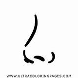 Nase Naso Colorare Disegni Ausmalbilder Ultracoloringpages sketch template