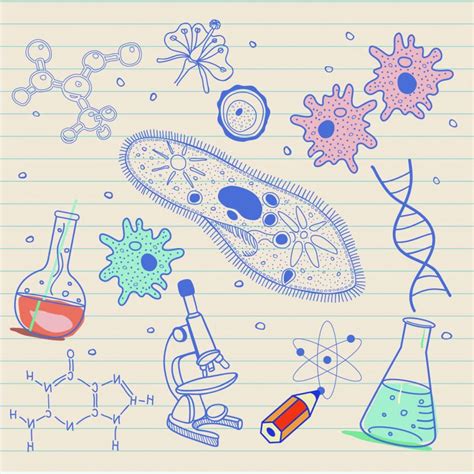 write  excellent biology research paper biology junction