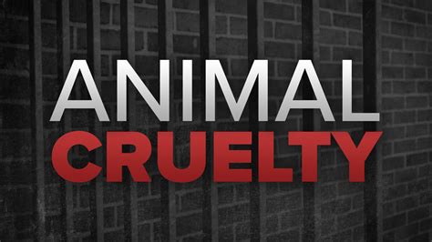 woman charged   counts  animal cruelty wnky news  television